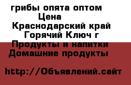 грибы опята(оптом)  › Цена ­ 150 - Краснодарский край, Горячий Ключ г. Продукты и напитки » Домашние продукты   
